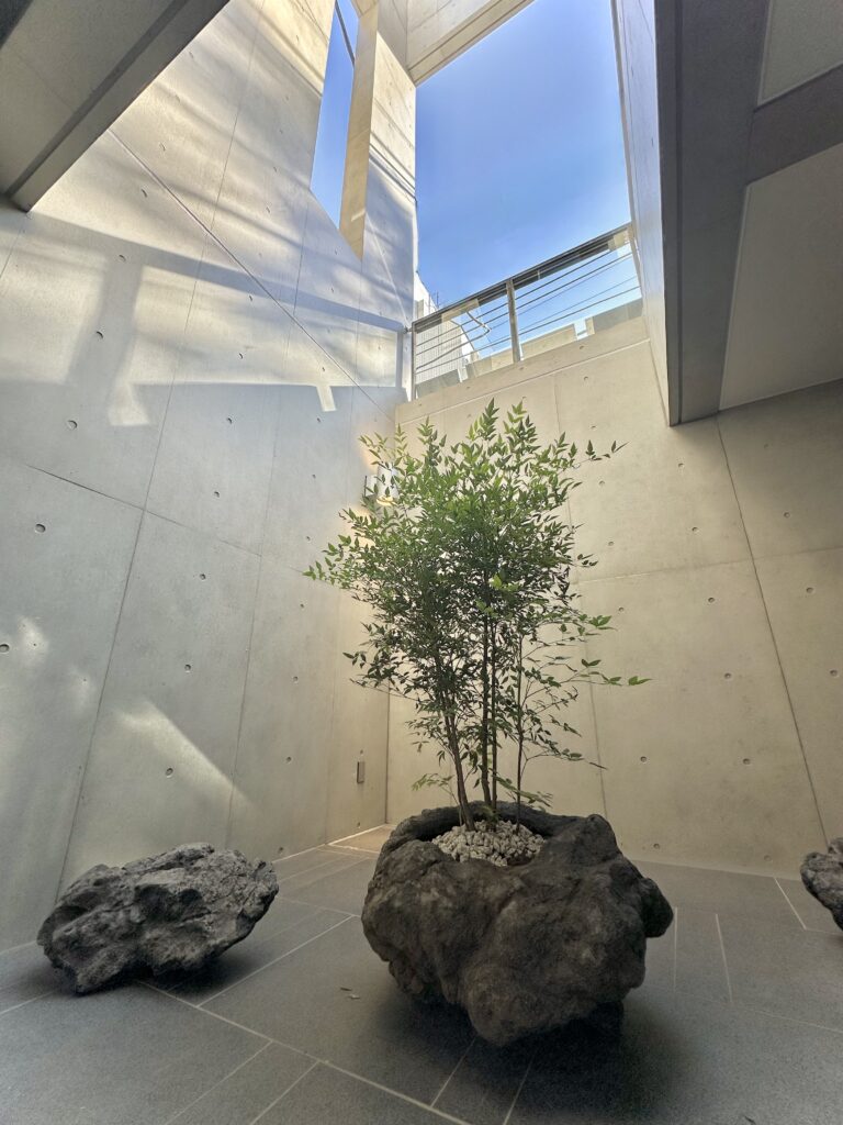 テラス
品川矯正歯科